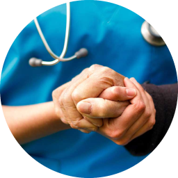 Holistic Health Focus